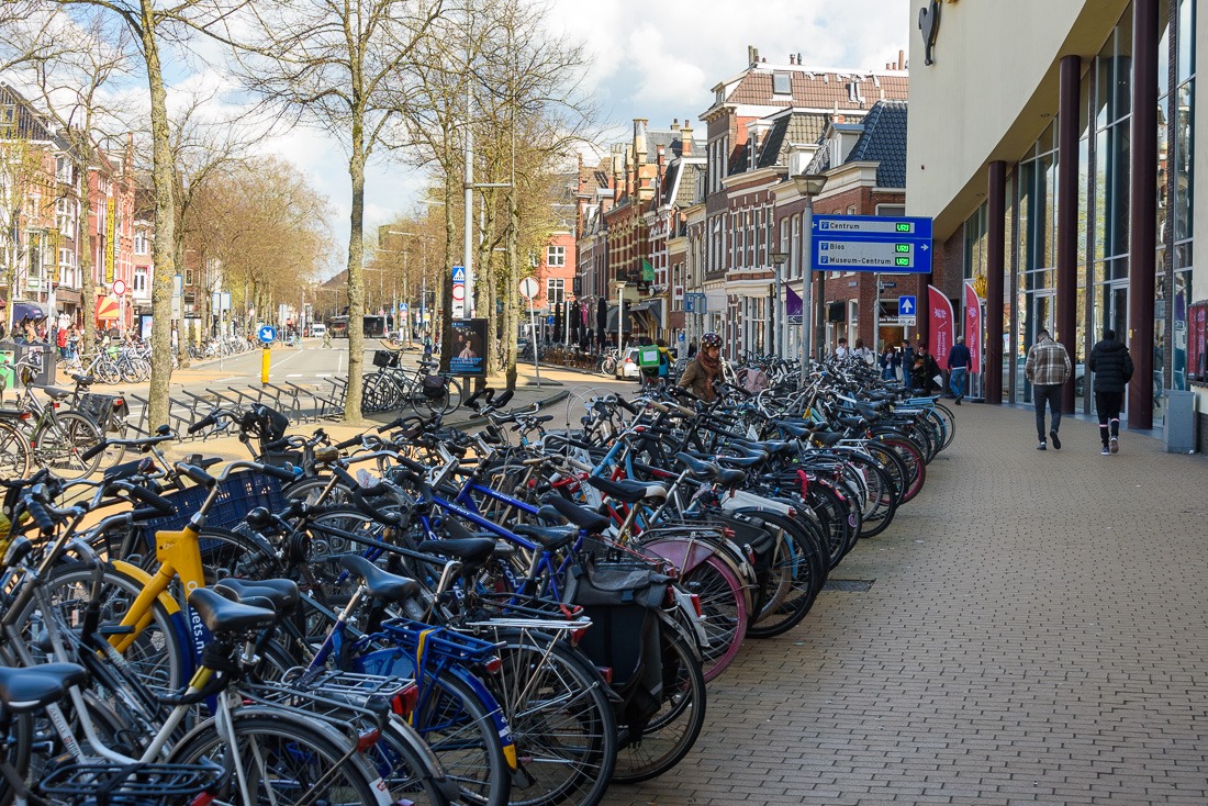 Bikes galore