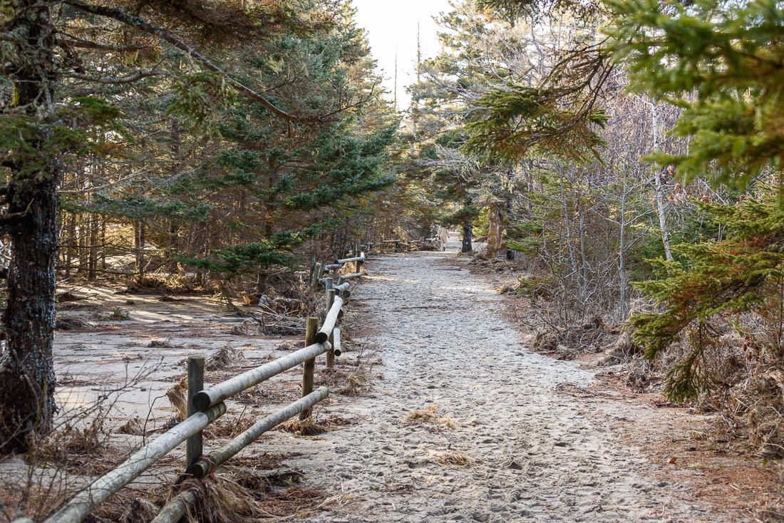 Risser's Park