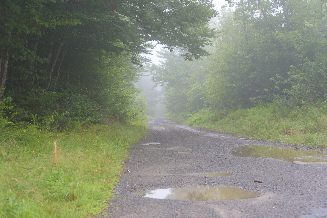 Foggy road