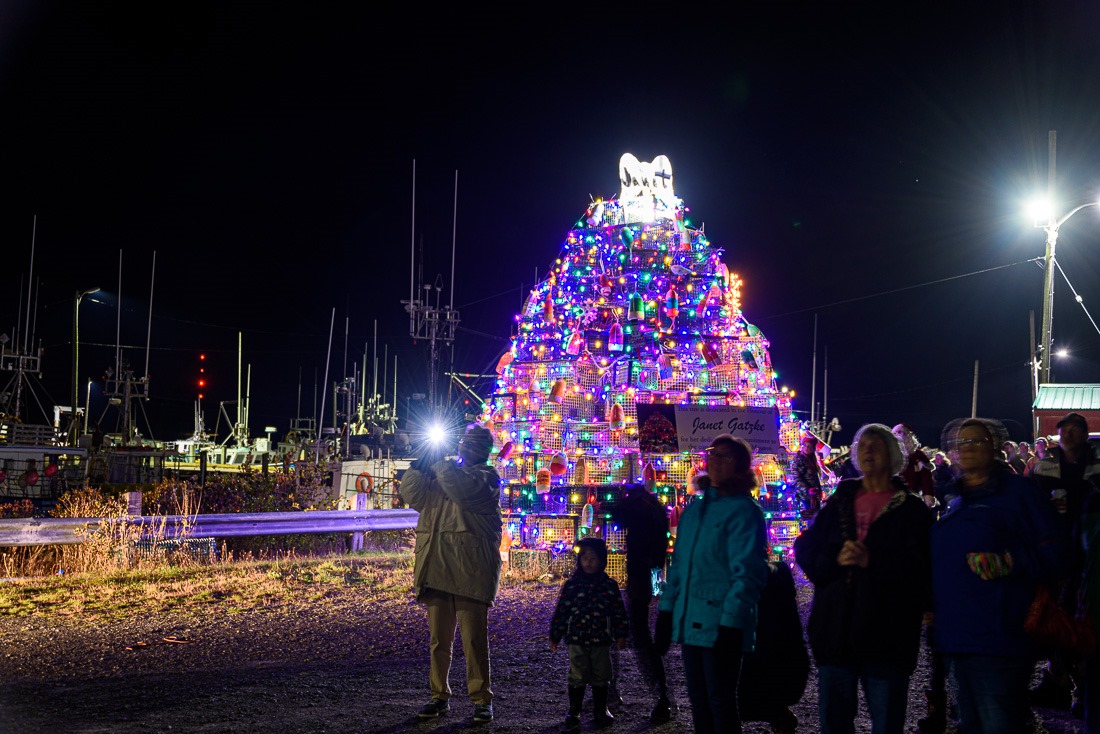 The Christmas “tree”