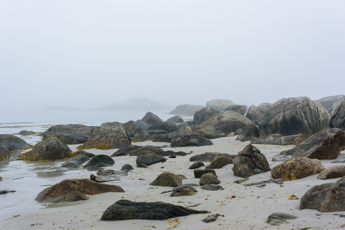 Thomas H Raddall Park