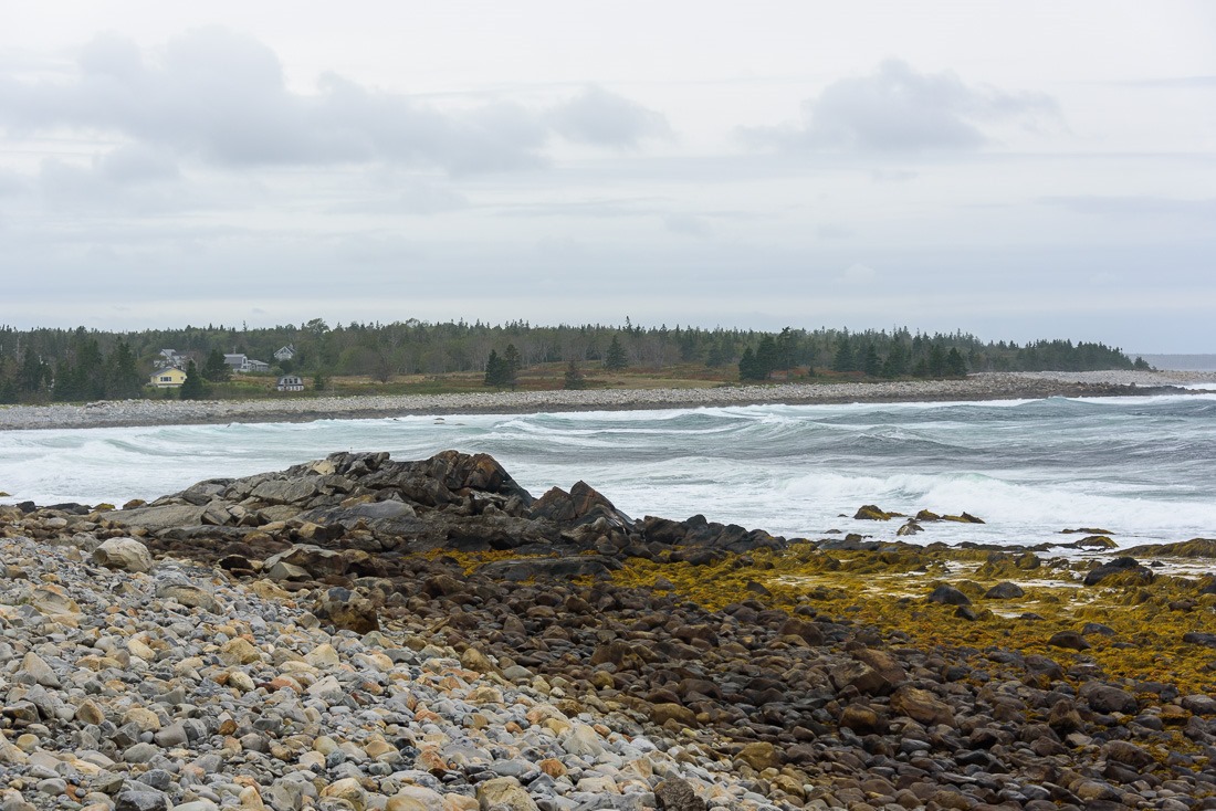 Western Head Waves