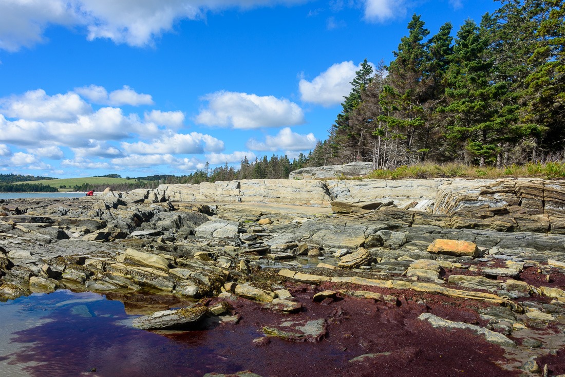 Rissers Beach