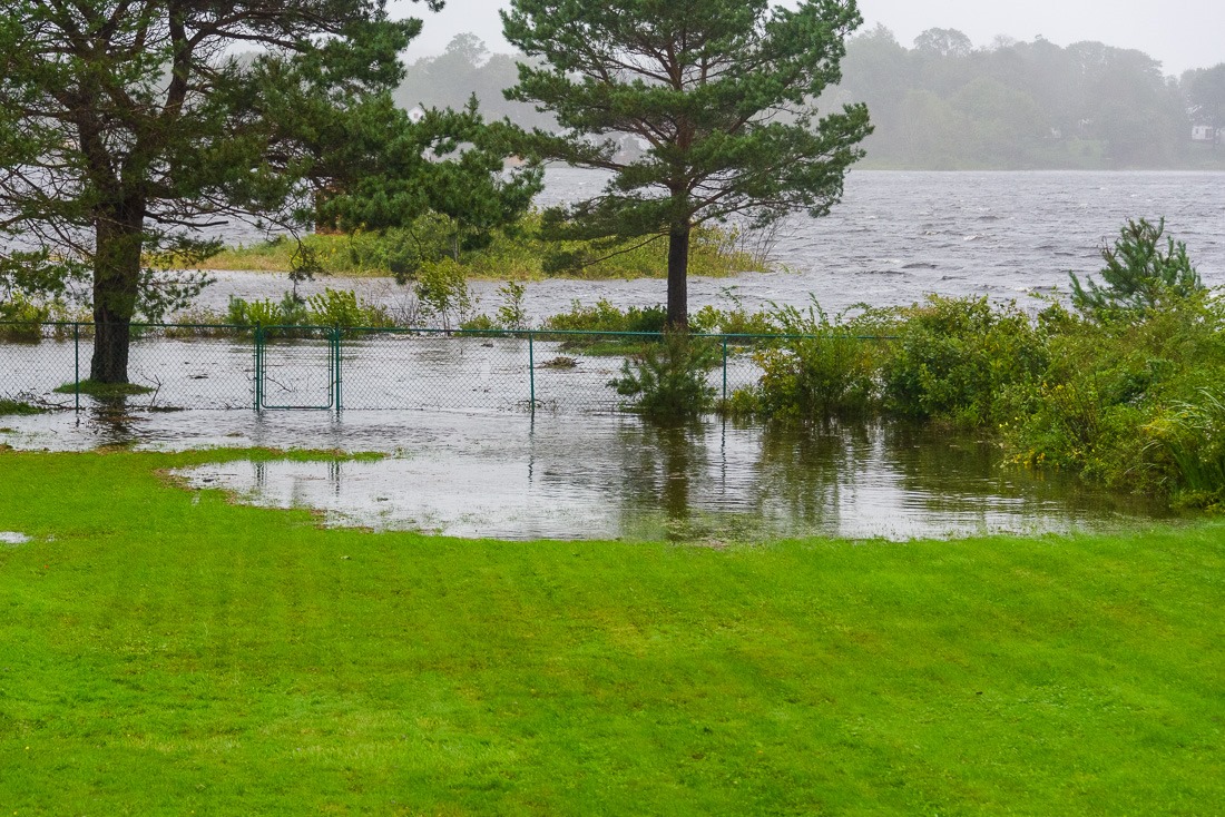 Backyard flooding