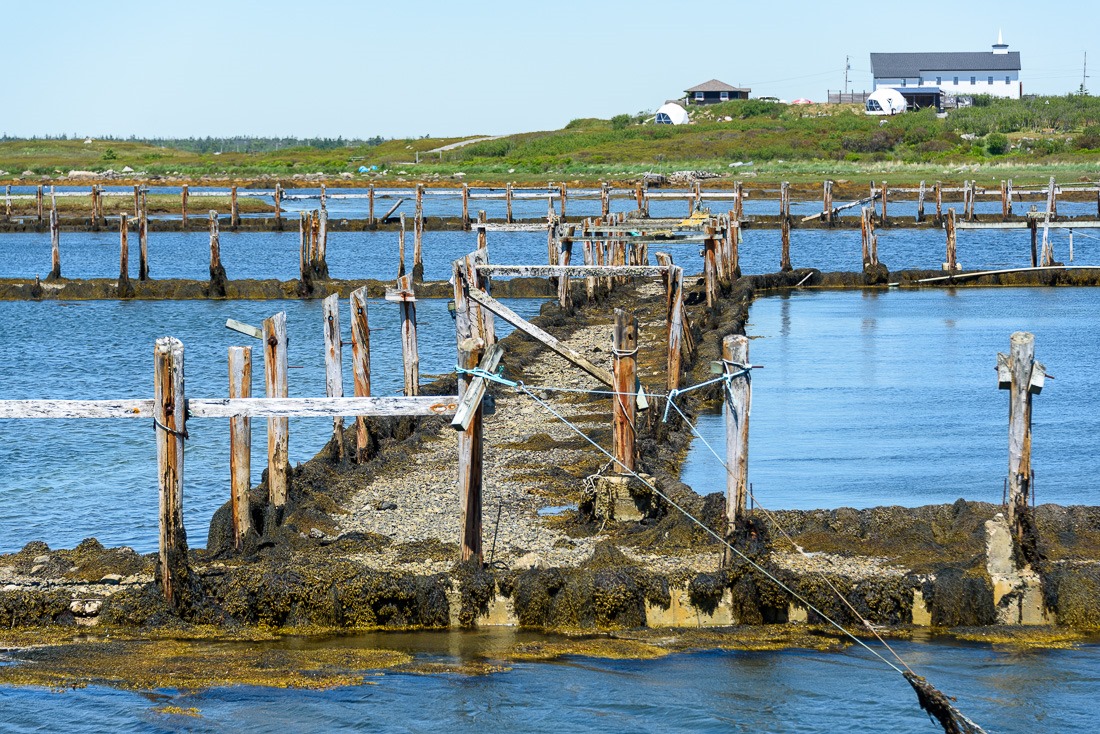 Fish farm