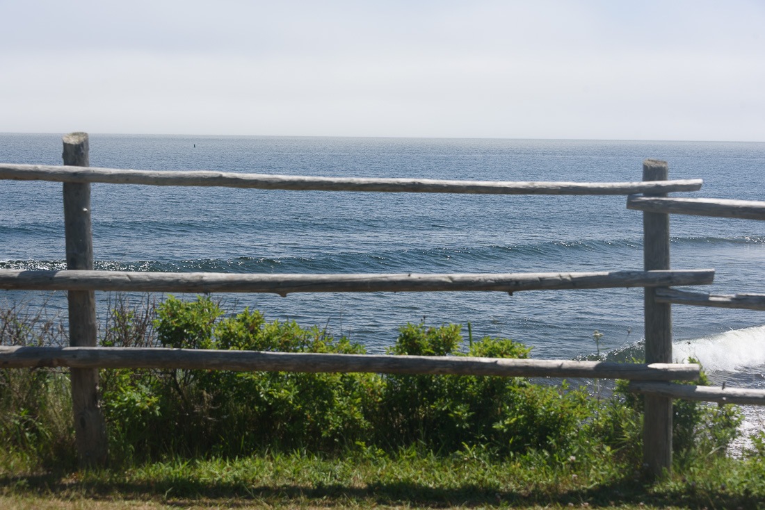 A swell sight A swell sight