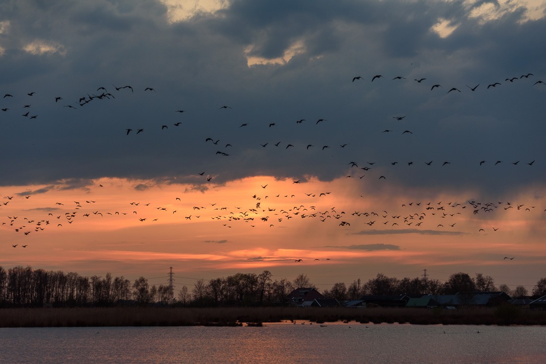 Taking flight