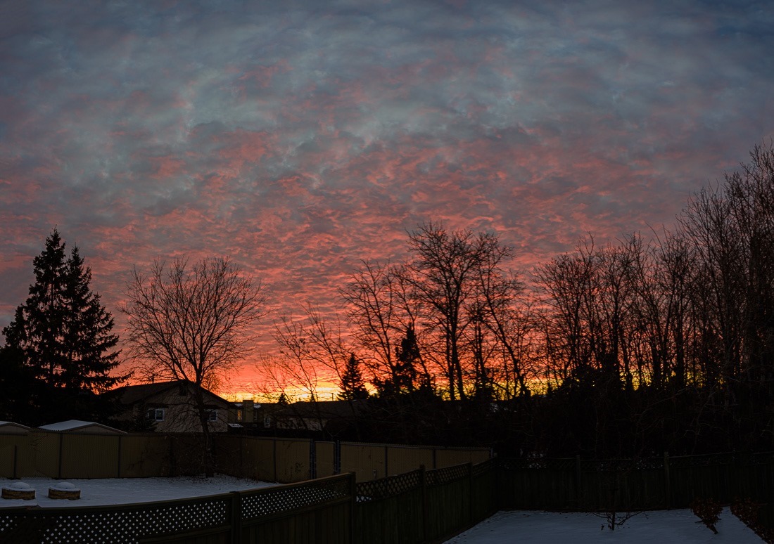 20201205-DSC_0420-Pano
