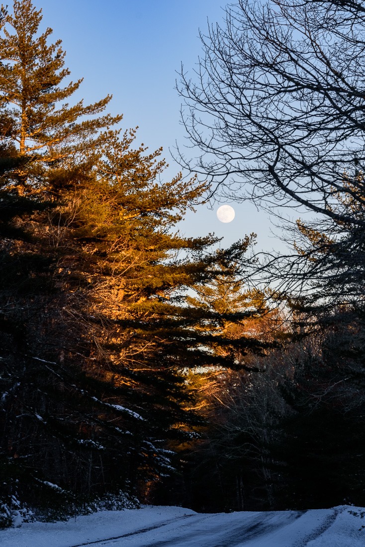 Wolf Moon of 2022