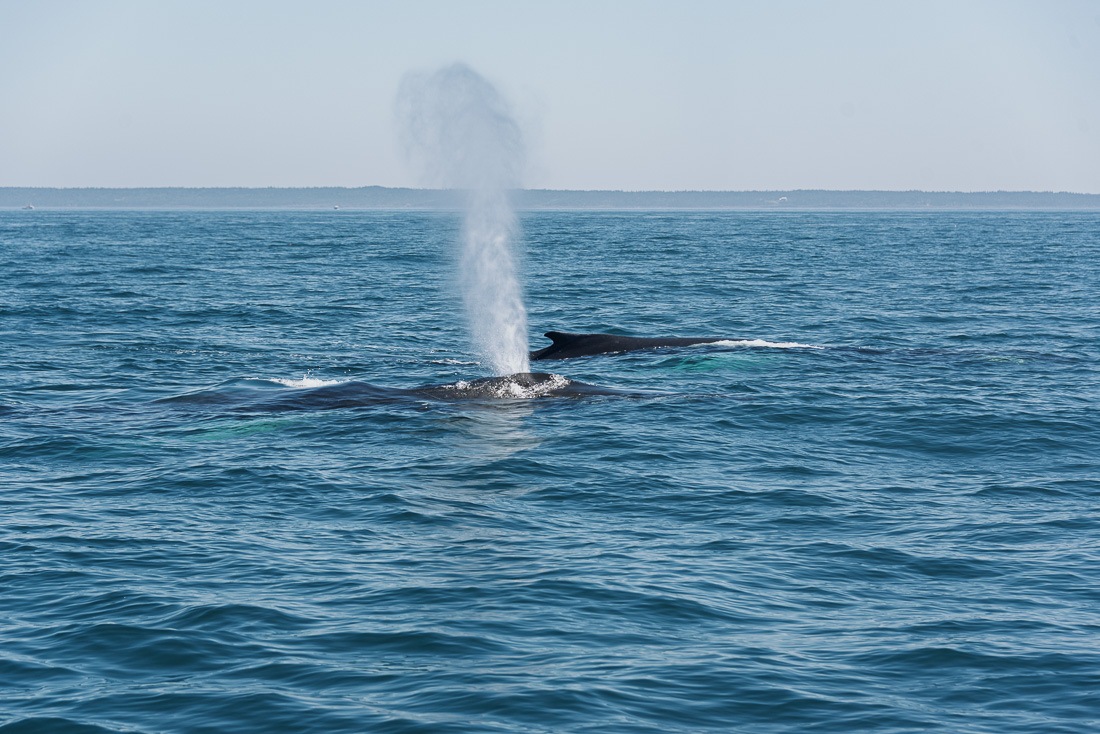 Heavy breathing Heavy breathing