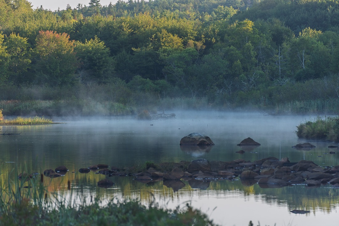 Mysterious Mysterious