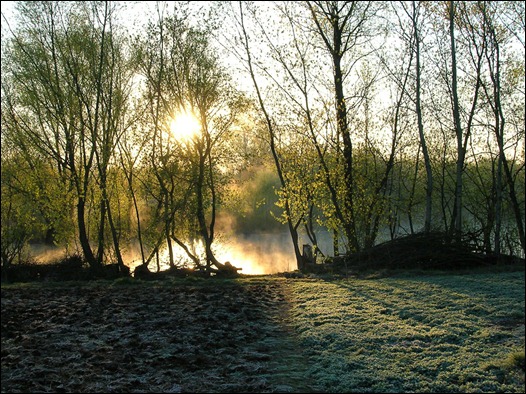 DSCN26685