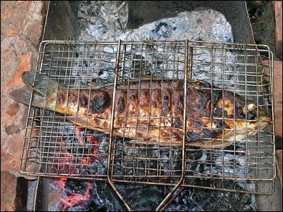 Tasty fish
