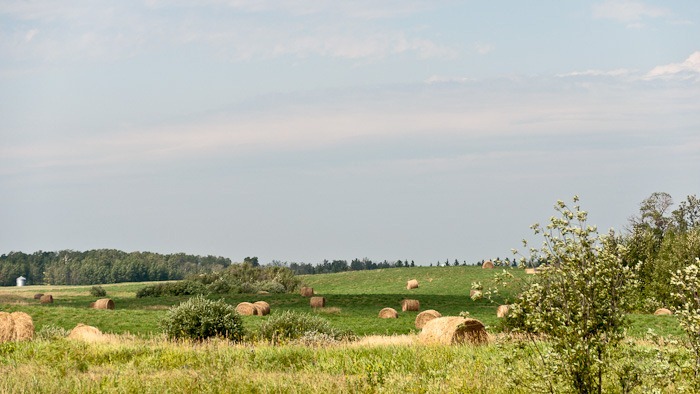 Old fashioned hills