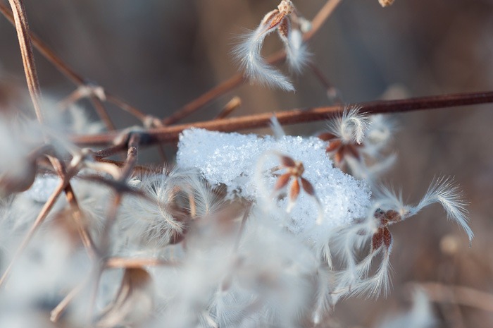 Still frosty