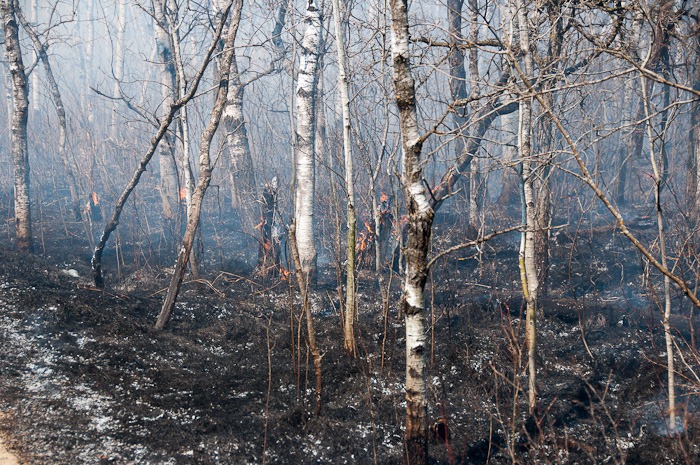 Still burning