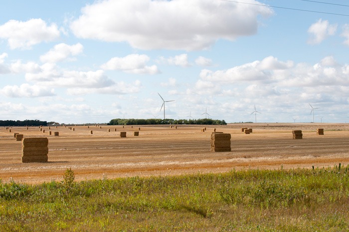 Idyllic view