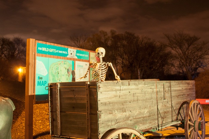 Skinny passenger