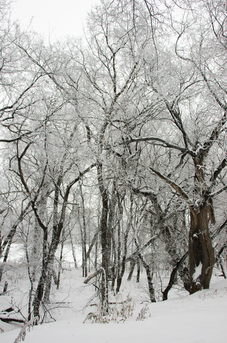 Wilderness without Fort Gibraltar, or a view of the Red River