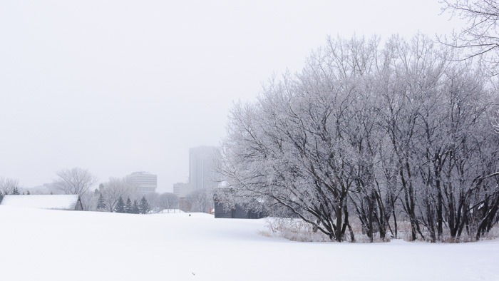 Winnipeg today