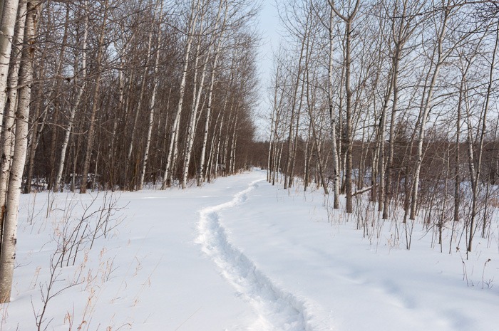 Inviting trail