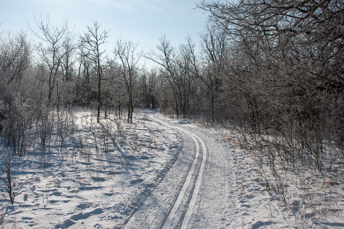 Trail