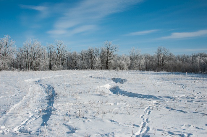 Extra big tracks