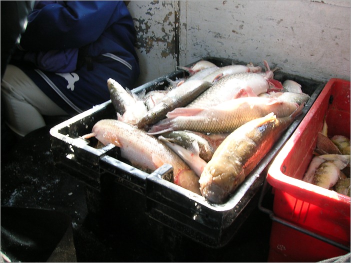 Nice catch!