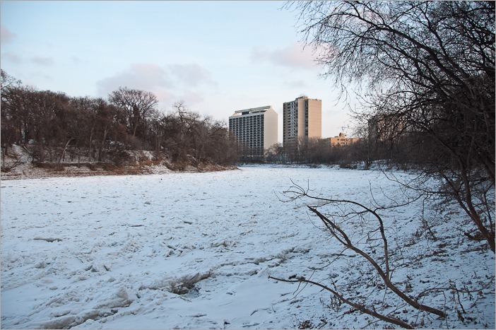 No ice for skating
