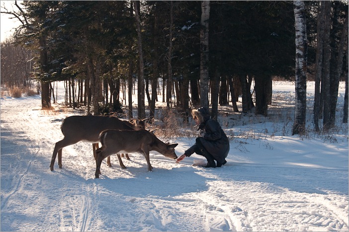 Feeding the family