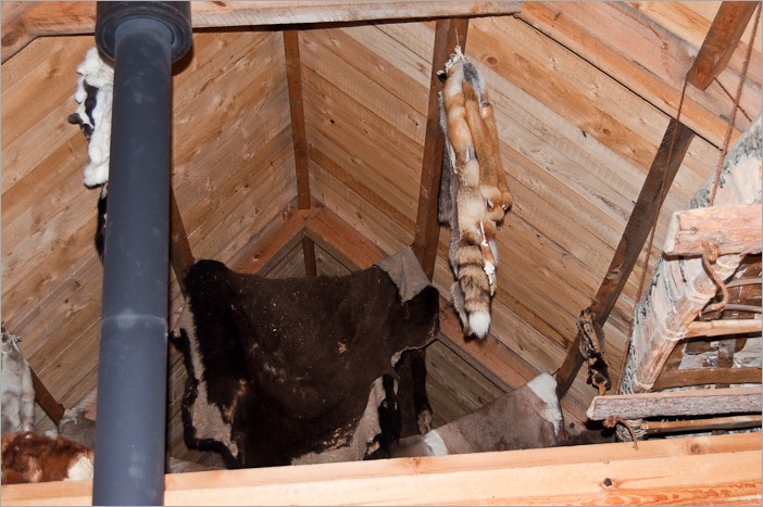 Pelts, waiting to be treated
