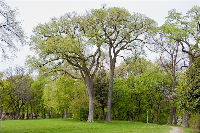 Green, at last