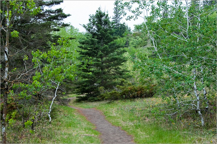 More green
