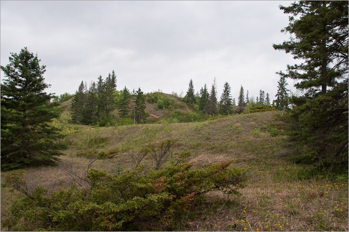 Little by little the landscape changes