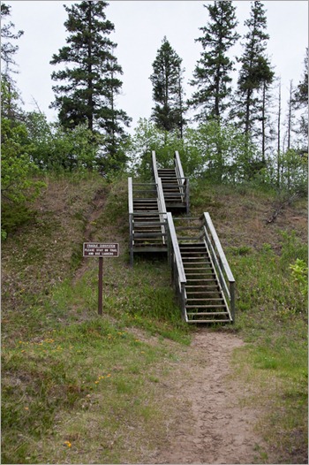 Little ladder