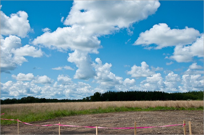 Sky