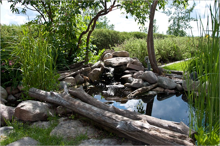 Little waterfall