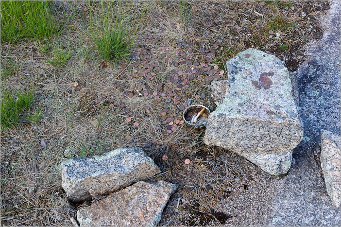 More offerings