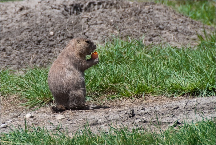 Having a little snack