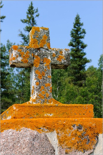 Colourful cross