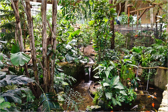 Tropical view