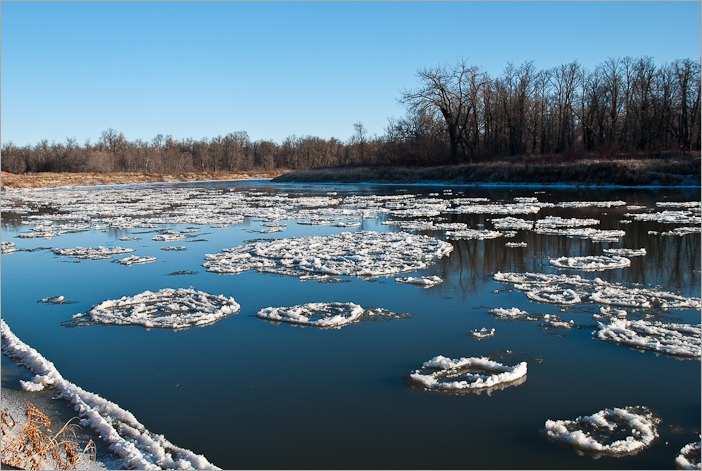 Young ice on the Assiniboine River