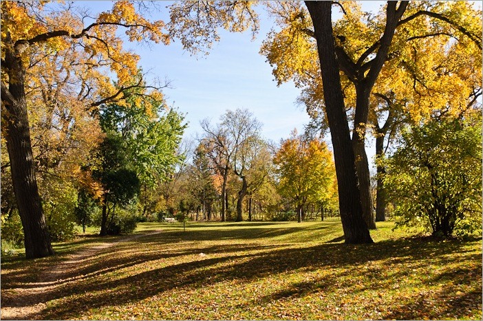 Fall colors